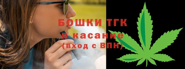 гашик Бородино