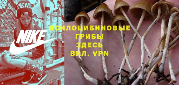 наркотики Богородицк