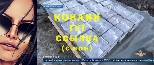 гашик Бородино