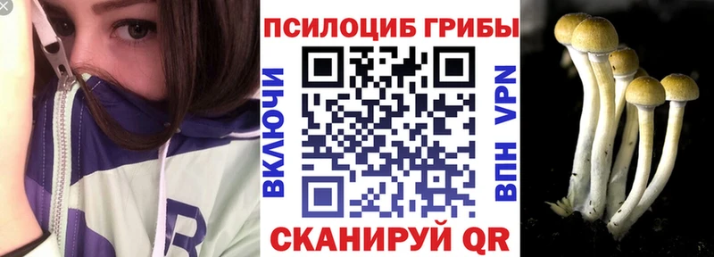 ОМГ ОМГ зеркало  Энем  Псилоцибиновые грибы мухоморы 